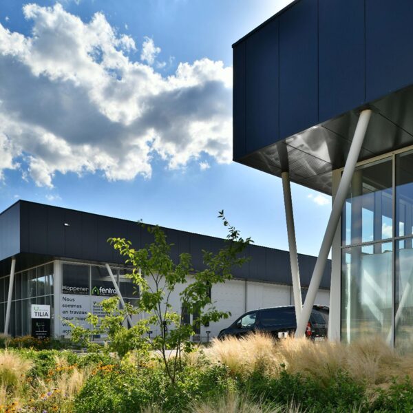 Tilia Lillois - Photo credits: ABR 2